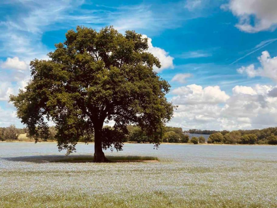 ワーンフォードThe Woodshedアパートメント エクステリア 写真